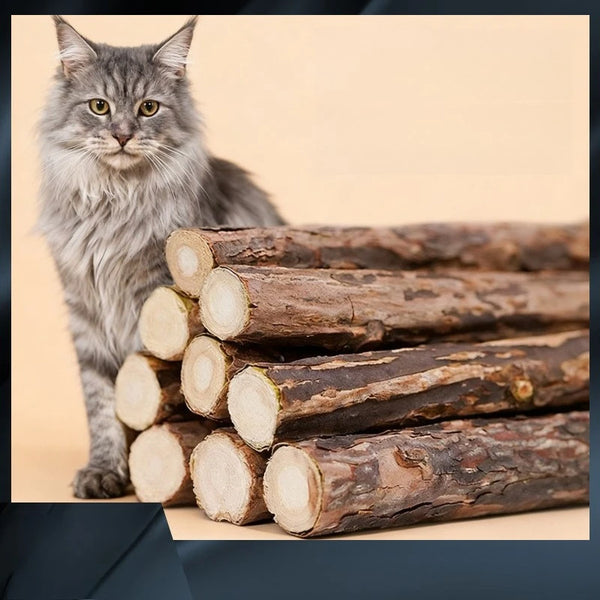 A fluffy gray cat sits next to a stack of natural herbal cat chew sticks.