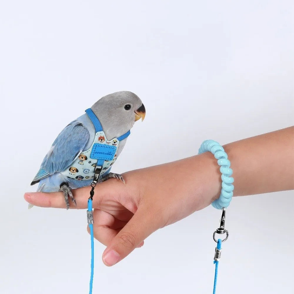 Une main tient un petit perroquet bleu portant un harnais de vol et un bracelet de perles bleues.