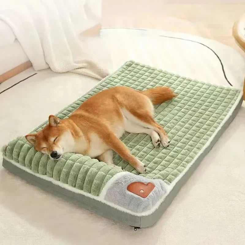 A golden-colored dog is resting on a green orthopedic memory foam dog bed with a gray border and a small orange heart patch.