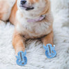 A light brown dog lying on a white fluffy rug wearing blue dog walking shoes.