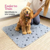 A person is holding a golden retriever puppy on a gray washable reusable dog urine pad for training.