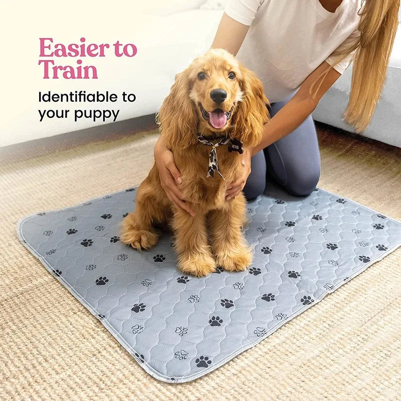 A person is holding a golden retriever puppy on a gray washable reusable dog urine pad for training.