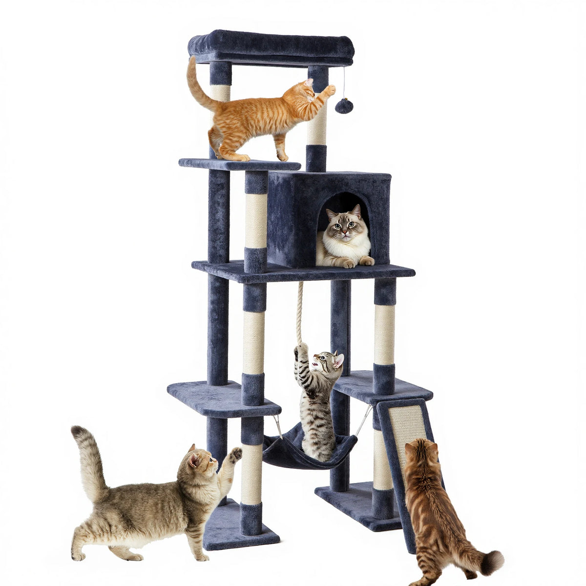 A multi-level cat tree with various platforms and a cozy condo, featuring several cats of different colors.