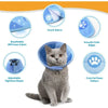 A gray cat wearing a blue adjustable recovery collar designed for comfort and safety.