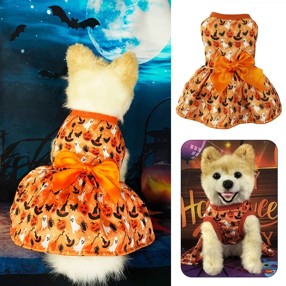 Un perro blanco esponjoso vistiendo un vestido estampado de murciélago de calabaza naranja y negra con un gran lazo.