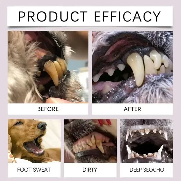 Comparison images showing the effect of a pet dental cleaning product on dog teeth, comparing before and after results.