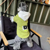 Ein grauer Hund mit limegrüner Kapuzenpullover und weißer Kapuze sitzt auf einem schwarzen Stuhl.