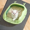 Un petit chaton blanc est assis dans une litière vert clair, placée sur un tapis gris foncé.