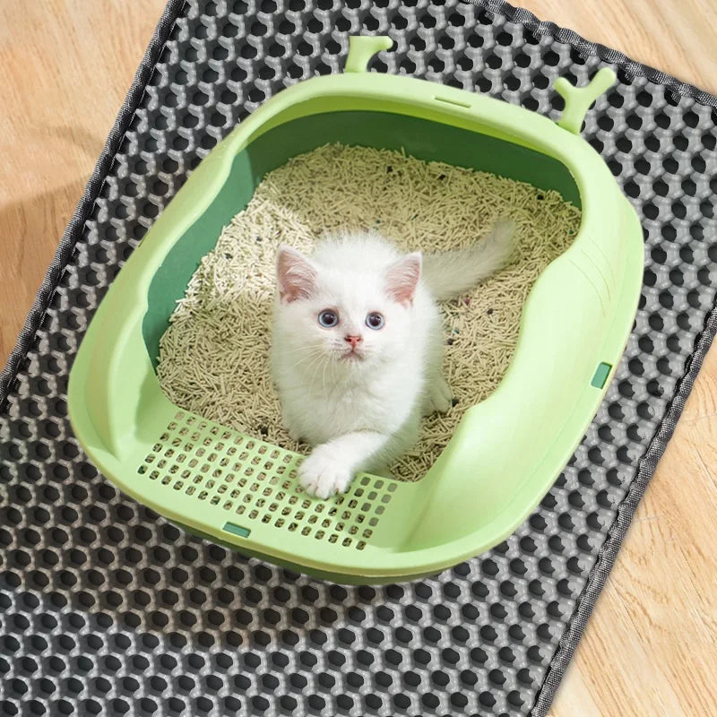 Un petit chaton blanc est assis dans une litière vert clair, placée sur un tapis gris foncé.