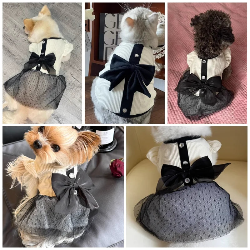 A collection of elegant lace bow dog dresses for small breeds featuring cats and dogs.