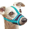 A light-colored dog wearing a teal and blue adjustable reflective soft muzzle.