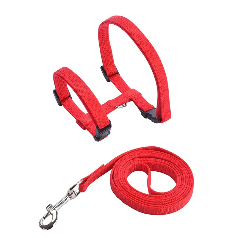 Red adjustable nylon pet harness and leash set
