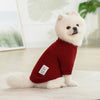 A fluffy white dog wearing a red knitted winter sweater, sitting on a light surface.