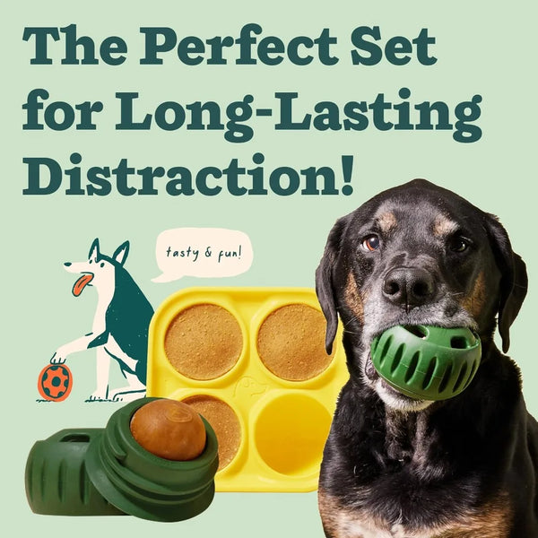 A black dog looks at a yellow silicone treat dispenser with several round treats inside.