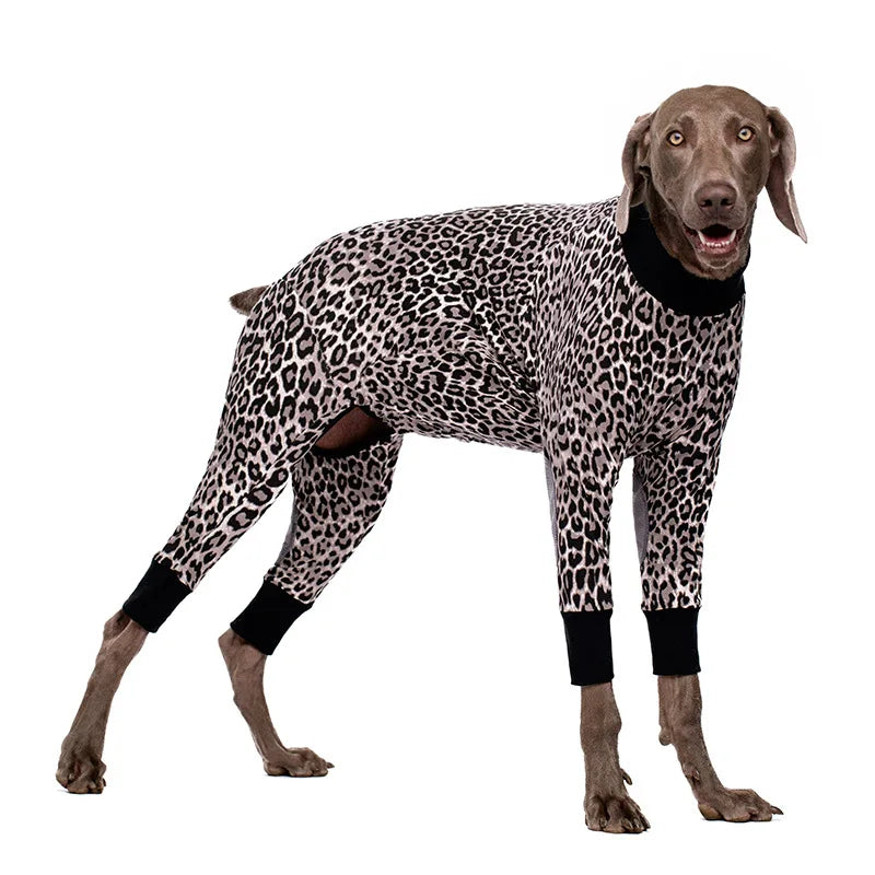 A dog wearing a full-body leopard print jumpsuit standing in profile.