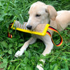 A light-colored puppy is holding a yellow and striped jute dog tug toy in green grass.