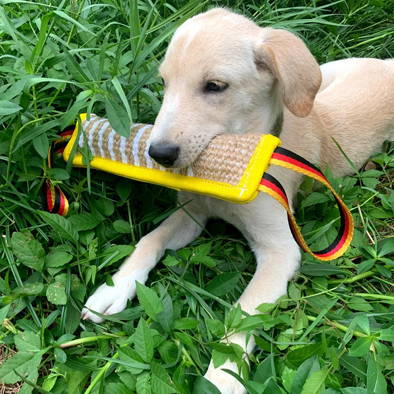 A light-colored puppy is holding a yellow and striped jute dog tug toy in green grass.