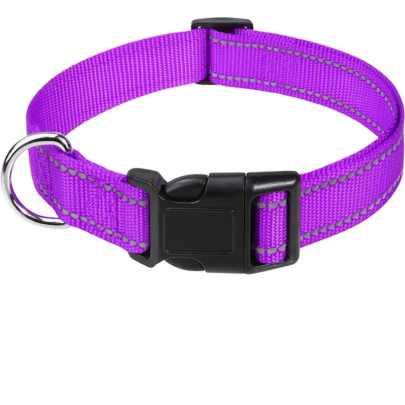 Purple nylon dog collar with a black buckle and silver hardware