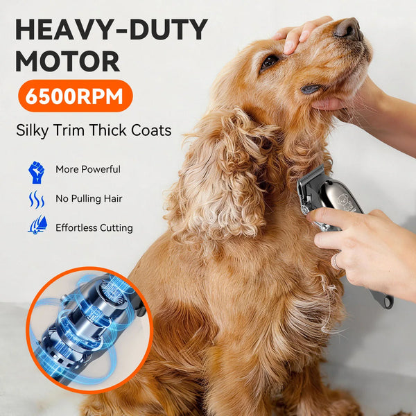 A person is using a heavy-duty motor pet grooming clipper on a dog's coat.