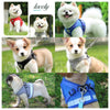 A collection of dog vests and a leash set featuring white, cream, and tan dogs.