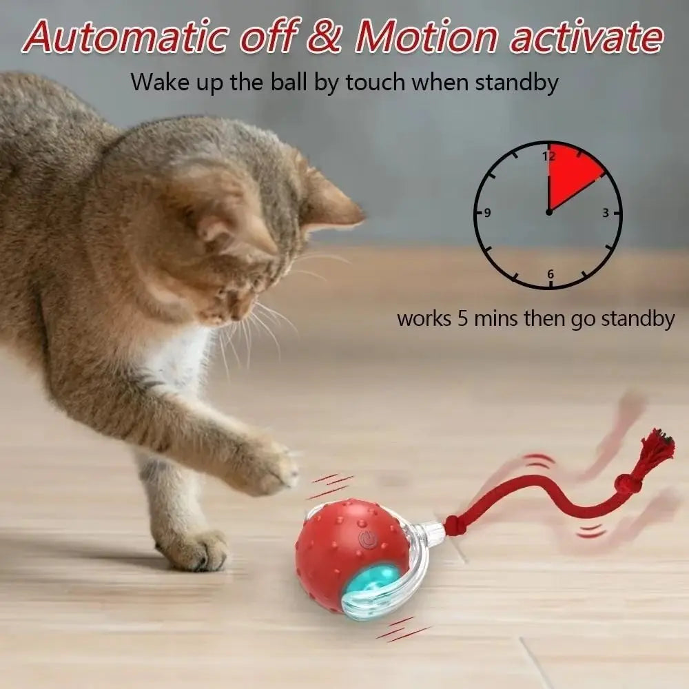 A cat is interacting with an automatic training ball that activates motion when touched.