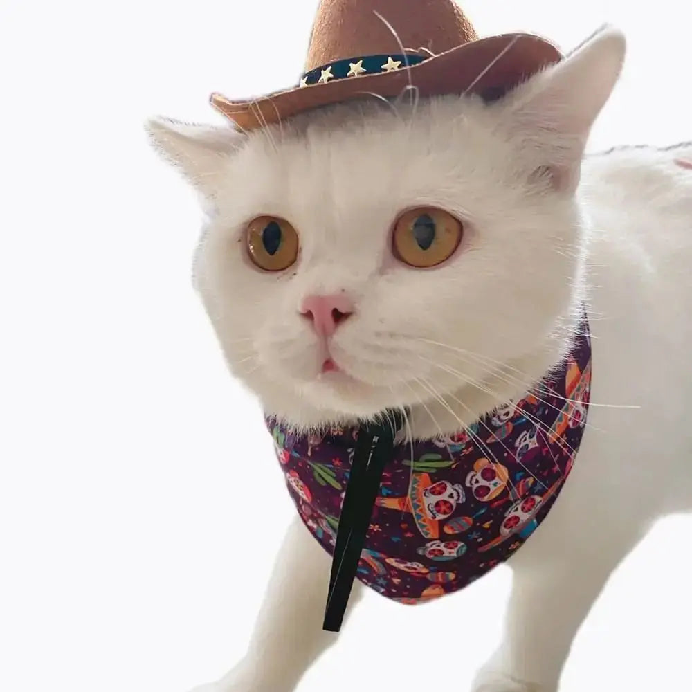 A white cat wearing a patterned bandana and a brown cowboy hat.
