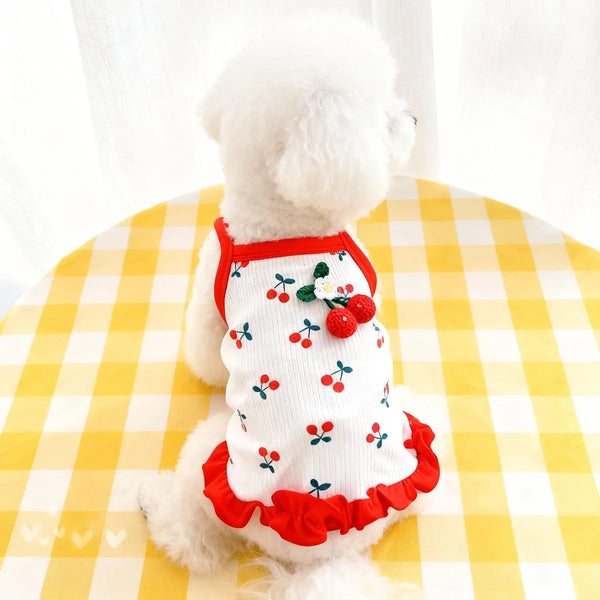 A white pet vest with a red trim and cherry print is worn by a fluffy white dog lying on a yellow checkered surface.
