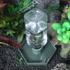 A clear glass water dispenser bowl sits on a green tray amidst moss and rocks.