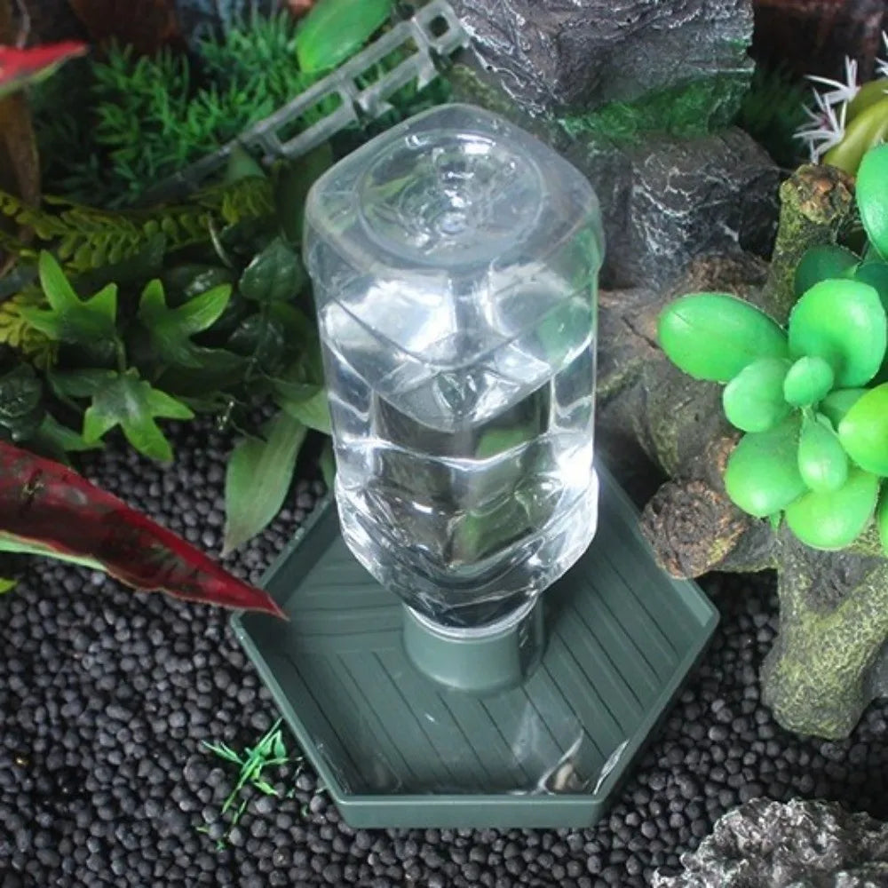 A clear glass water dispenser bowl sits on a green tray amidst moss and rocks.