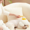A person is using a yellow silicone pet bathing brush on a white fluffy dog inside a light-colored sofa.