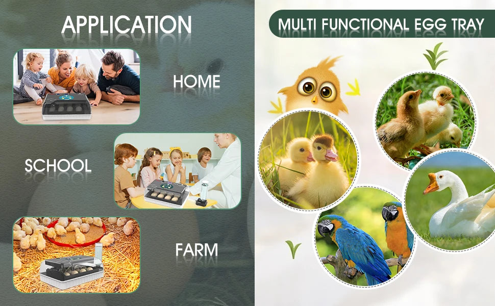 Incubateur à œufs automatique présenté dans divers contextes : maison, école, ferme et applications.