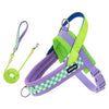A purple dog harness and leash set with neon green accents and checkered fabric.