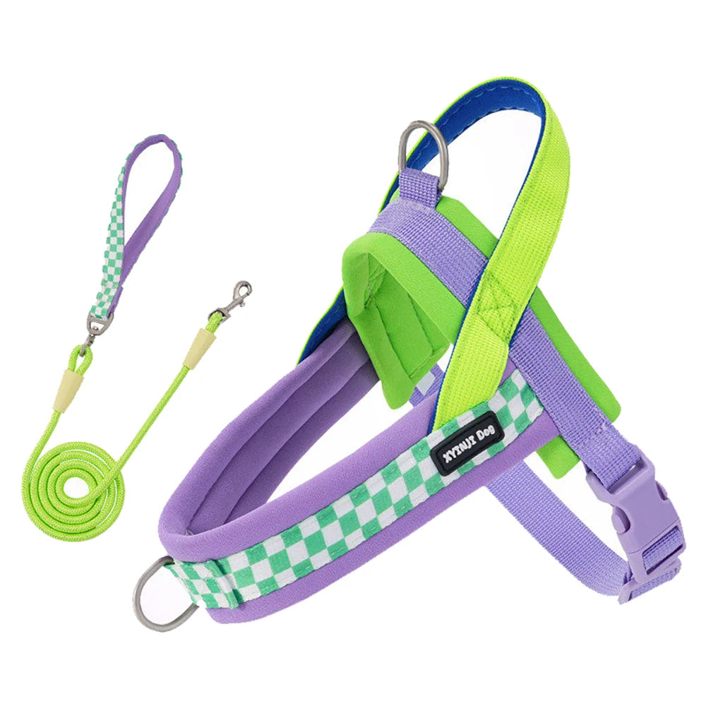 A purple dog harness and leash set with neon green accents and checkered fabric.