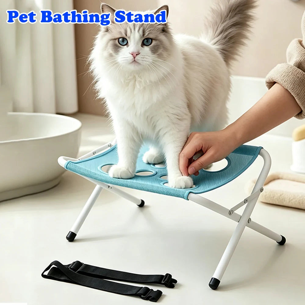 A fluffy white cat is standing on a blue pet bathing stand with attached grooming tools.