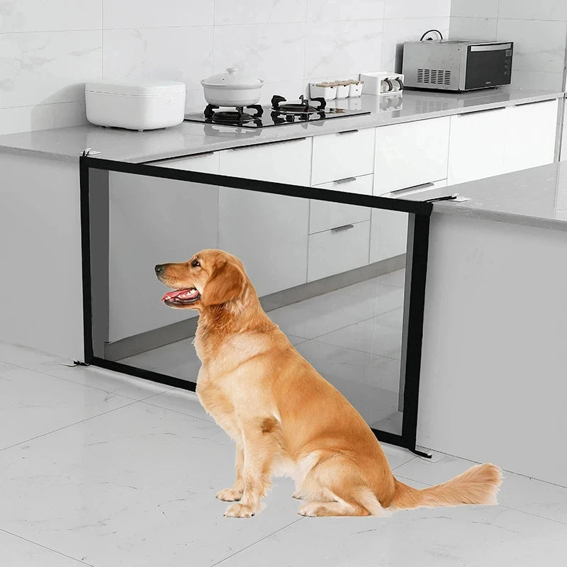 A golden retriever dog sitting in front of a glass pet safety gate and stairs on a modern kitchen counter.