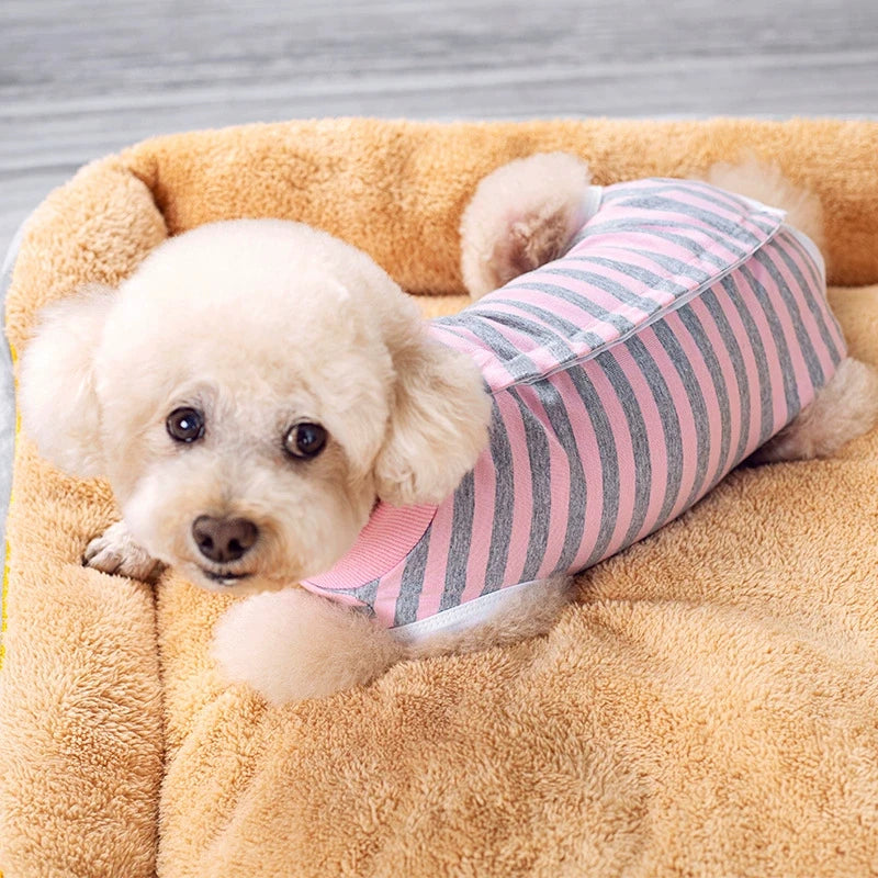 A fluffy light-colored dog is lying on a yellow-brown towel wearing a striped pink recovery suit.