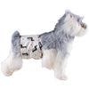 A fluffy gray and white dog wearing a washable sanitary wrap for male dogs.