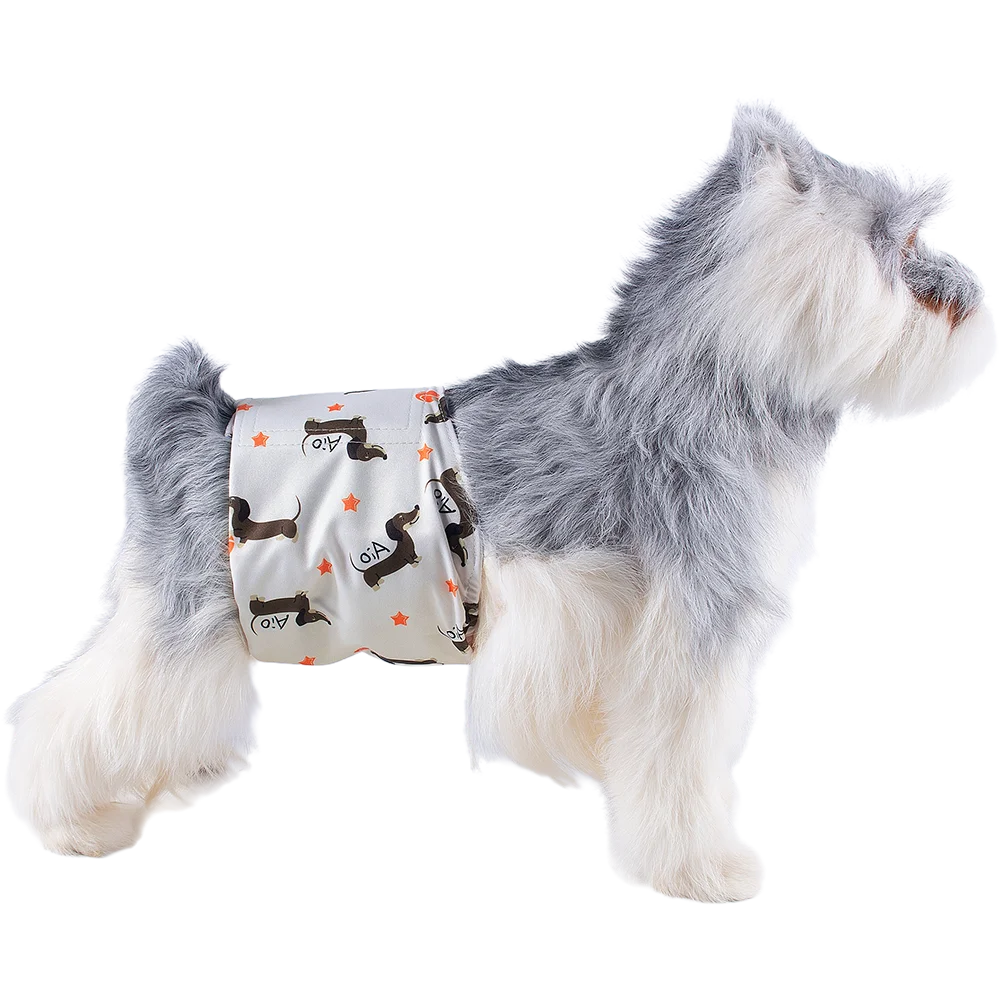 A fluffy gray and white dog wearing a washable sanitary wrap for male dogs.