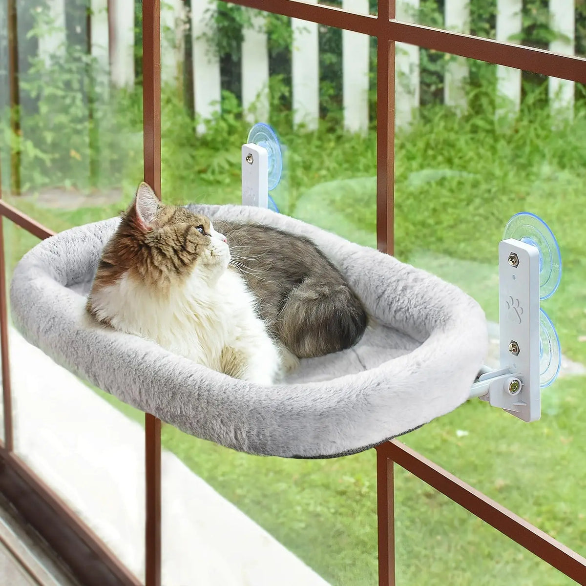 A gray cat is relaxing in a window perch hammock featuring suction cup attachments for a window.
