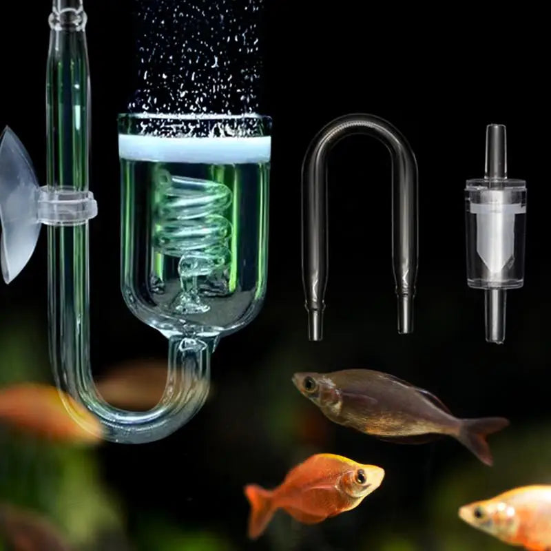 A glass aquarium CO2 diffuser with a suction cup, a curved glass tube, and small fish.