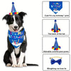 A black and white dog wearing a birthday outfit set featuring an It's My Birthday print, hat, pom-poms, and bow tie.