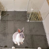 A gray and white rabbit is visible in a pet enclosure with mesh netting.