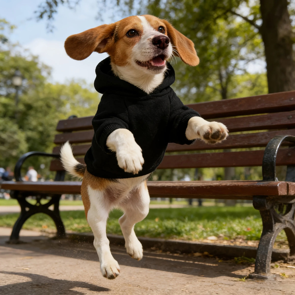 A brown and white dog wearing a black hooded sweatshirt running outdoors.