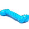 Blue squeaky chew toy for small dogs with textured teeth for cleaning and training