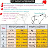 A size chart for a washable belly band for male dogs showing measurements in centimeters, inches, and weights in kilograms an