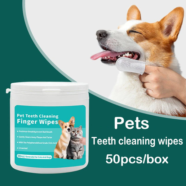 A dog is licking a pet tooth cleaning finger wipe product packaged in a white container.