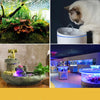Collage montrant un chat près de l'eau, une fontaine intérieure et un grand aquarium avec des plantes colorées.