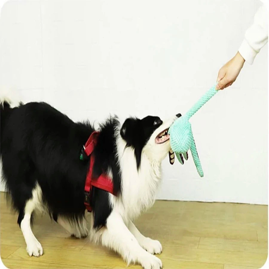 Ein schwarz-weißes Hund wird von einer Hand gebürstet, die einen hellblauen Plüsch-Oktopus spielt.