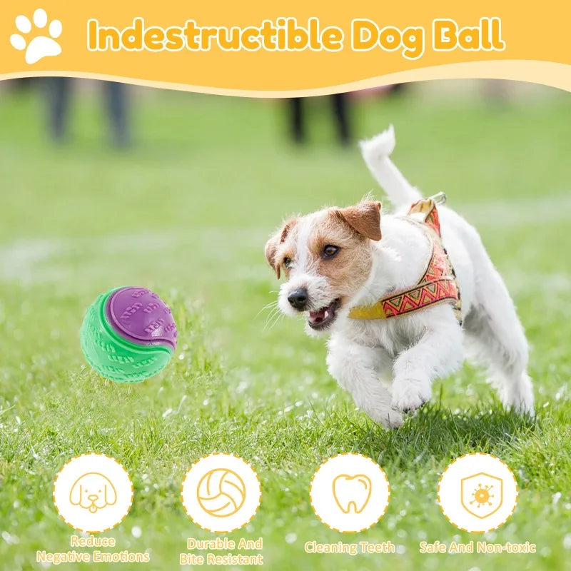 A dog is playing with an indestructible dog ball in a grassy field, demonstrating its use for cleaning teeth.