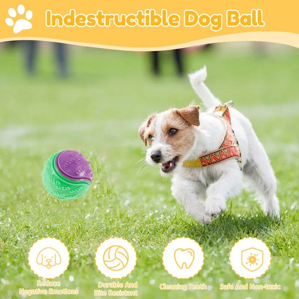 A dog is playing with an indestructible dog ball in a grassy field, demonstrating its use for cleaning teeth.